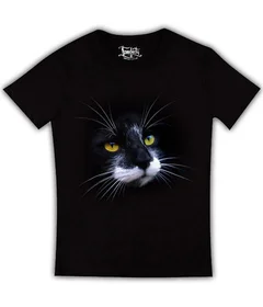 кот фото на черной 3д